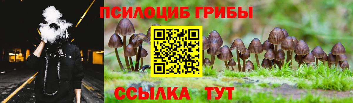 Псилоцибиновые грибы мицелий  Галлюциногенные грибы MAGIC MUSHROOMS  Семёнов  закладки  Вход с VPN 